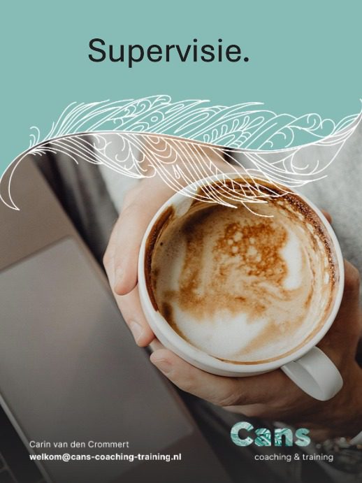 Supervisie.
